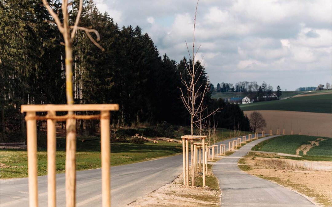 Radwege und Straßen