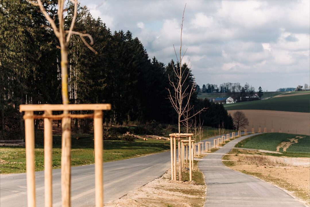 Radwege und Straßen