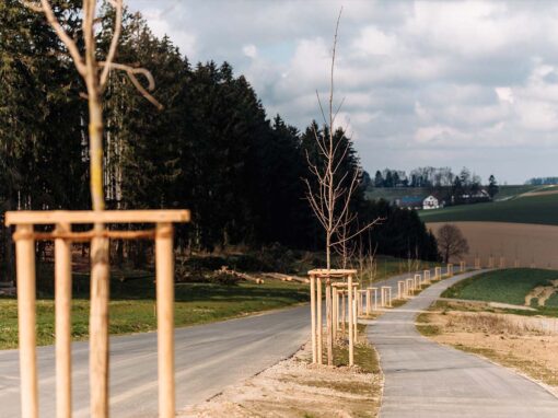 Radwege und Straßen